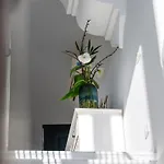 Villa Giulia *