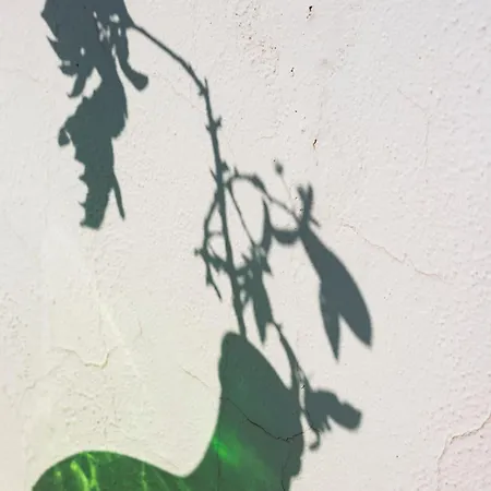 Giulia וילה פראינו