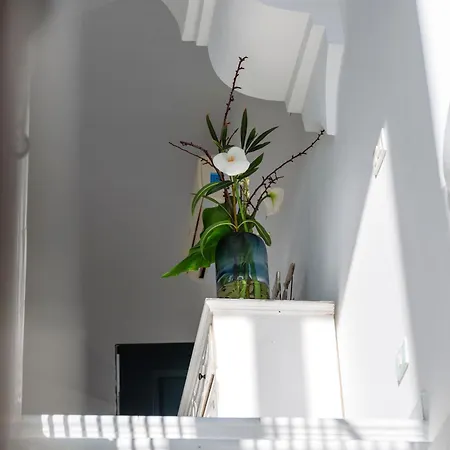 Villa Giulia *