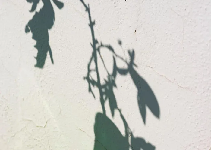 Giulia Villa Praiano